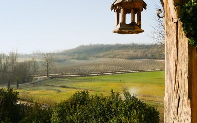 Orginess : Le Domaine de Saint-Géry « un fantasme pour urbain au bord du burnout »