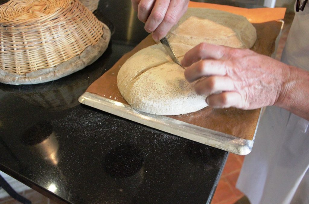 Le gluten : vrai responsable des intolérances ?